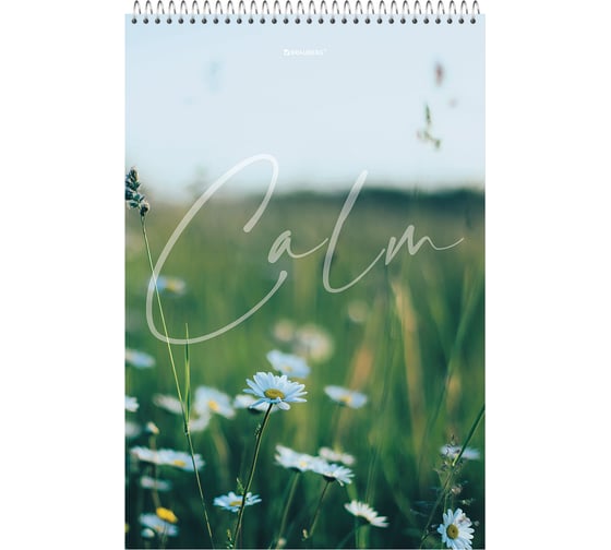 Изображение товара Блокнот BRAUBERG большой формат, 198x297 мм, А4, 80 л., гребень, жесткая подложка, клетка, calm 114357