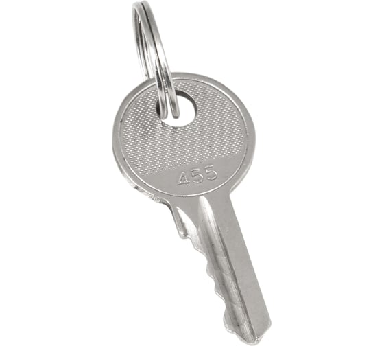 Изображение товара Ключ для замка EKF арт. 18-16/38-ip31 20 штук proxima key-2