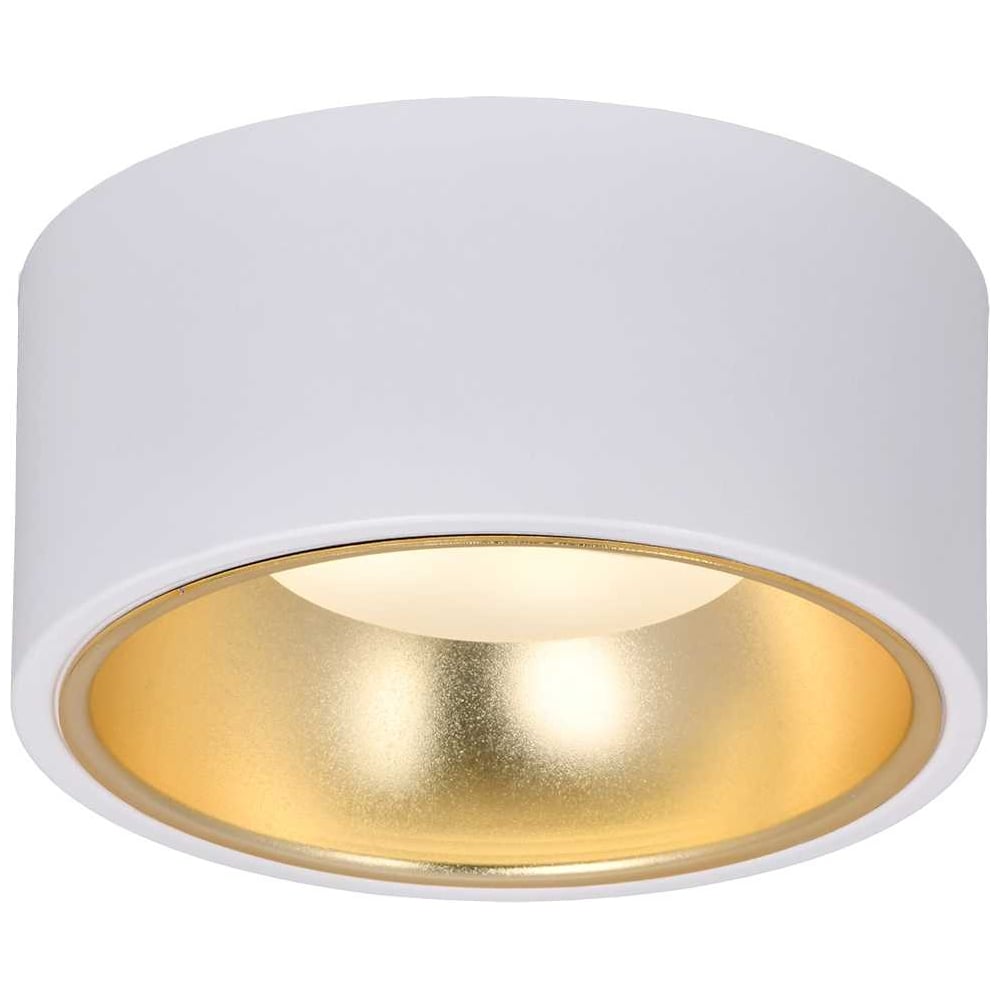 Изображение товара Потолочный накладной светильник IEK Lighting 4017 для ламп GX53 классика