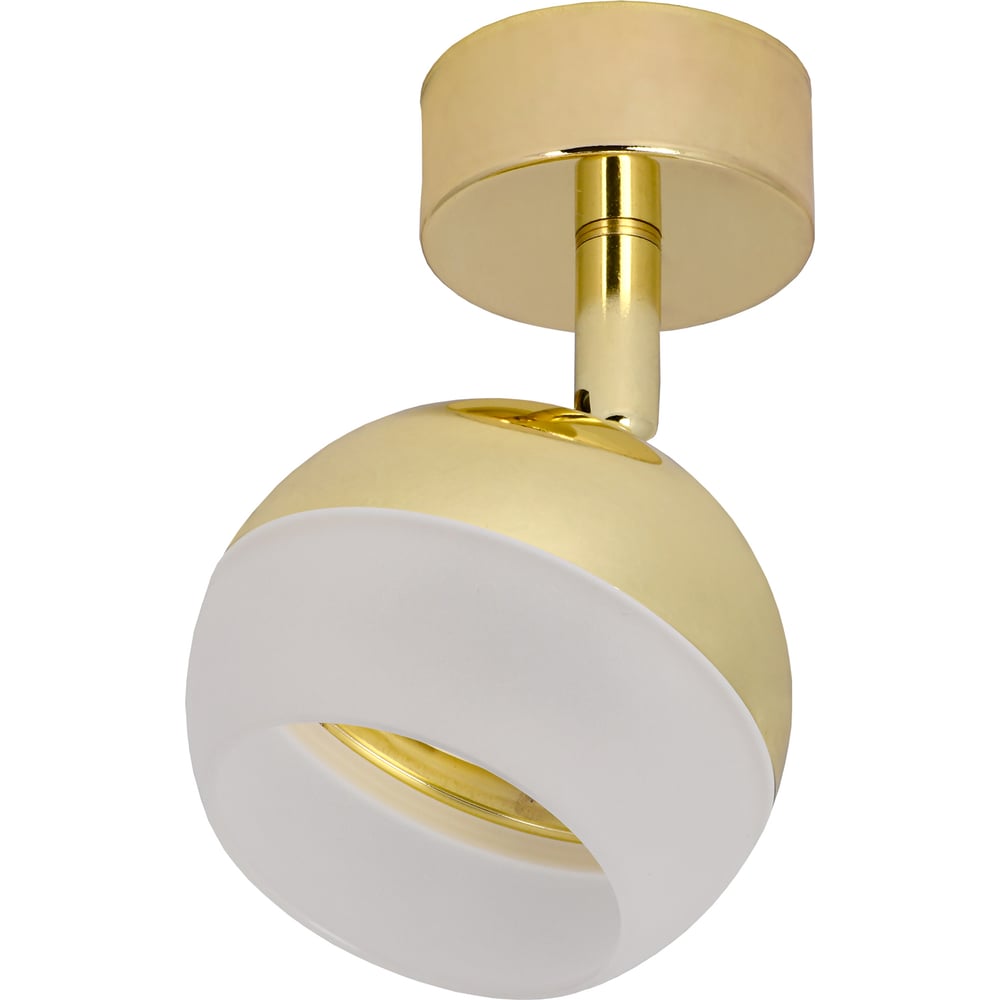 Изображение товара Настенно-потолочный светильник IEK Lighting 4011 с LED лампой GX53 в золоте Изображение товара Настенно-потолочный светильник IEK Lighting 4011 с LED лампой GX53 в золоте