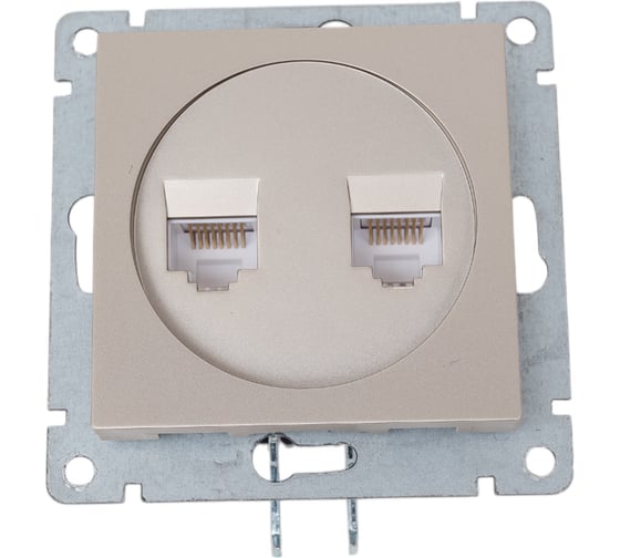 Изображение товара Компьютерная двухместная розетка UNIVersal серия афина с/у, 1а, rj45, шампань еврослот A1086-Br