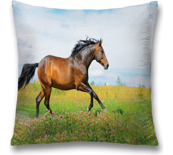 Изображение товара Декоративная наволочка JoyArty sl_29240