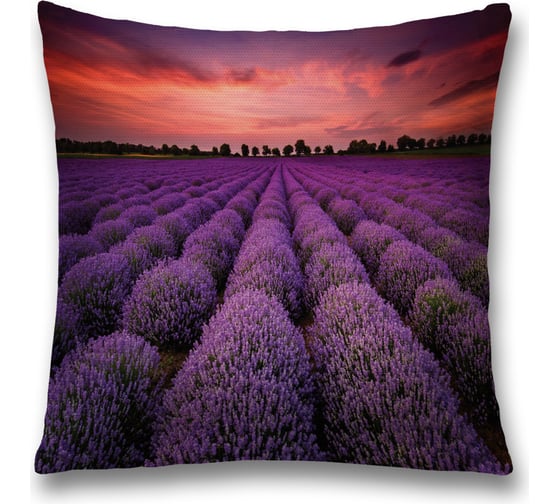 Изображение товара Декоративная наволочка JoyArty sl_8227