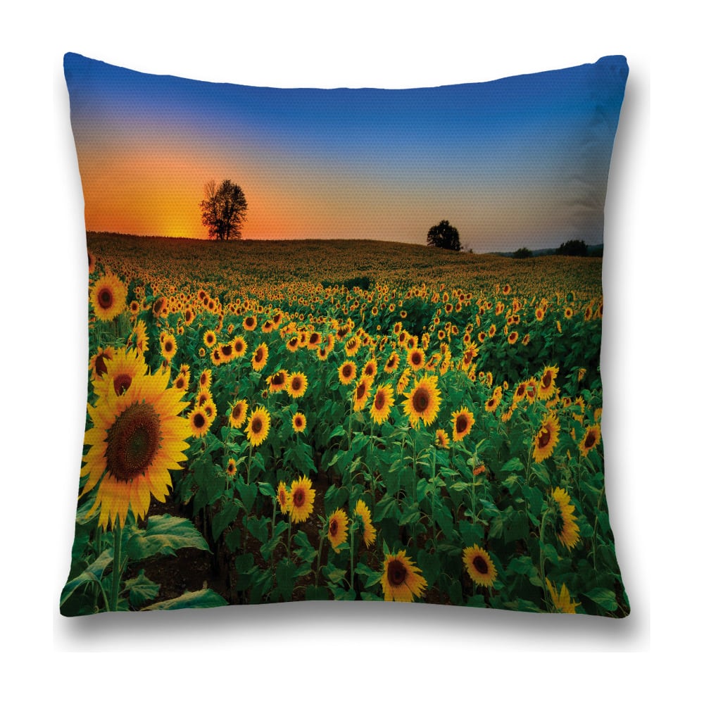 Изображение товара Декоративная наволочка JoyArty 45х45 см полиэстер молния яркие цвета