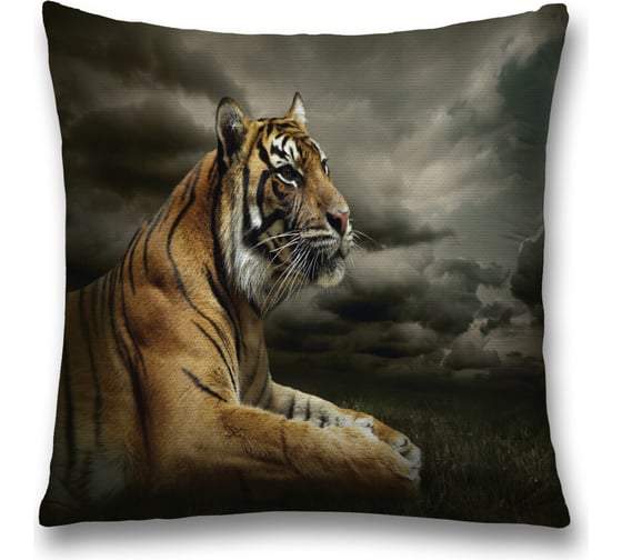 Изображение товара Декоративная наволочка JoyArty sl_8542