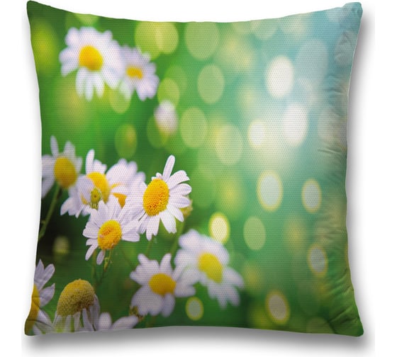 Изображение товара Декоративная наволочка JoyArty sl_30348