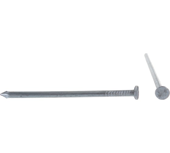 Изображение товара Строительный гвоздь оцинкованный 2,5x50 мм, 50 шт, пакет Zitar 108059