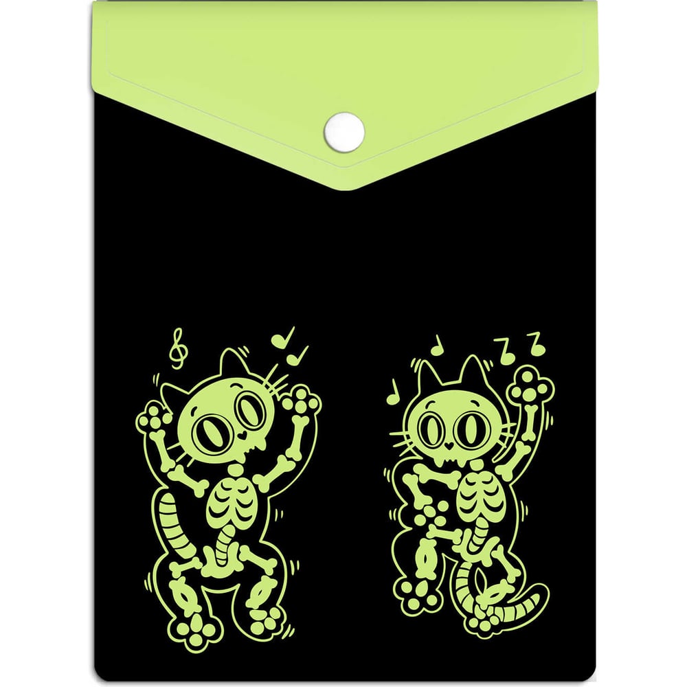 Папка для документов Феникс +