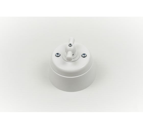 Изображение товара Поворотный выключатель Interior Electric с корпусом из пластика серии "вектор" (белый) ВПП01