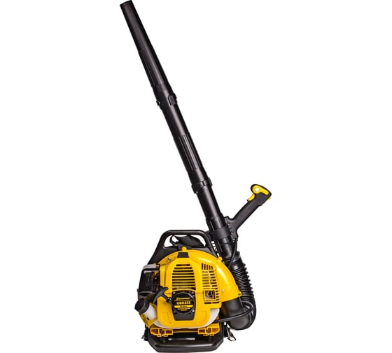 Изображение товара Воздуходувка Champion GBR333