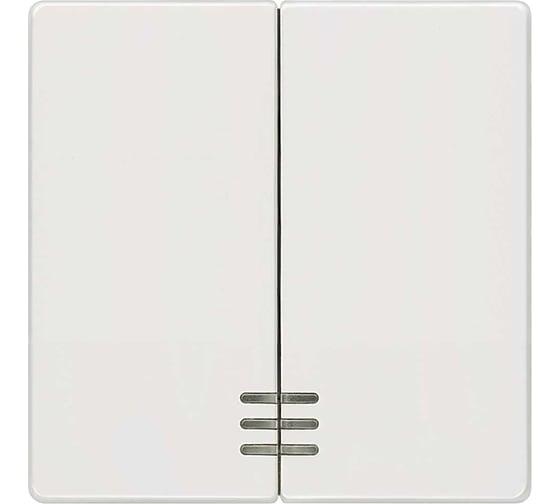 Изображение товара Выключатель 2 клавиши с окном Siemens DELTA I-SYSTEM титановый белый 55x55мм 5TG6204