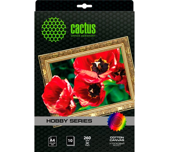 Изображение товара Холст для струйной печати CACTUS CS-CA426010 A4/260г/м2/10л. 805878