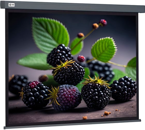 Изображение товара Настенно-потолочный рулонный экран CACTUS 127x127 см Wallscreen CS-PSW-127x127-SG 1:1 серый 1678295