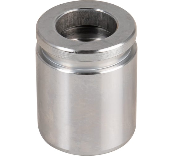 Изображение товара Поршень заднего суппорта BMW X5 (E53) (99-) d=42мм TRIALLI RCF 182568