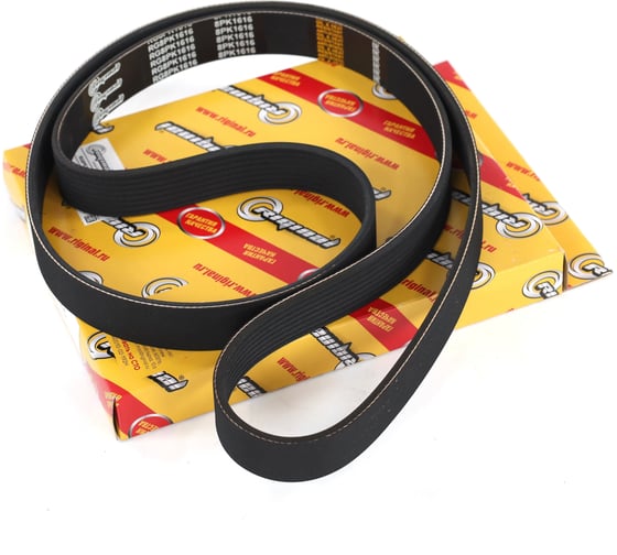 Изображение товара Ремень поликлиновой 8PK1615 для а/м КАМАЗ (дв. Cummins ISDe 185/230/270) Riginal RG8PK1615