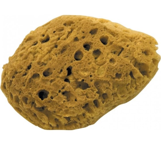 Изображение товара Натуральная декоративная губка для придания эффекта коралла DEKOR 21 см 1475