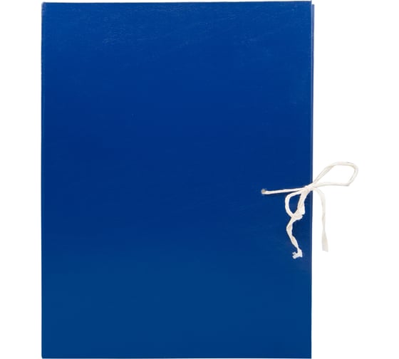 Изображение товара Архивная папка SILWERHOF 4 завязки КБЗ-4-80Р бумвинил корешок 80 мм разобранный A4 ассорти 1551525