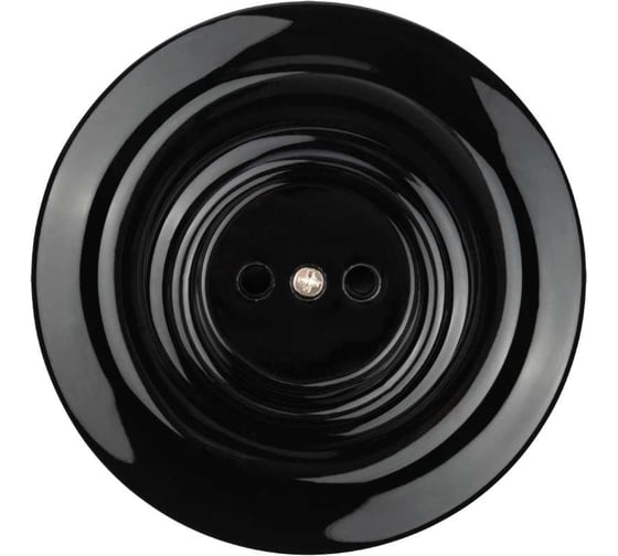 Изображение товара Розетка TDM ELECTRIC Болонь скрытой установки фарфоровая 2П 10А 250В черная SQ1820-0221