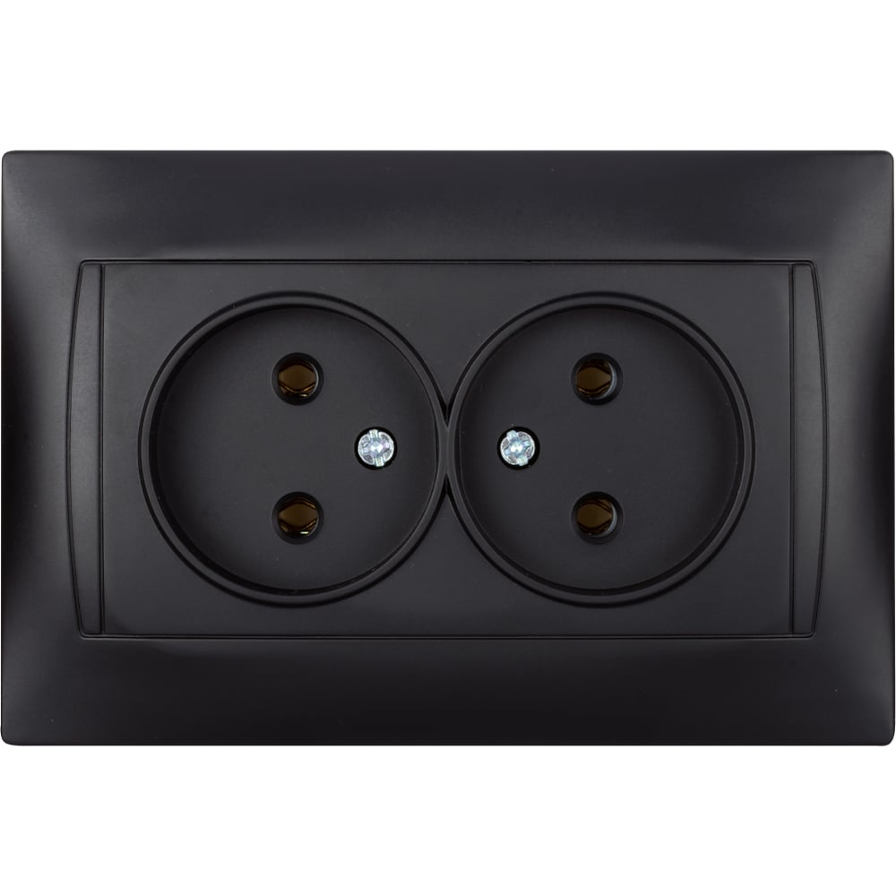 Двойная розетка TDM ELECTRIC Лама 2П 10А 250В графит SQ1815-0624