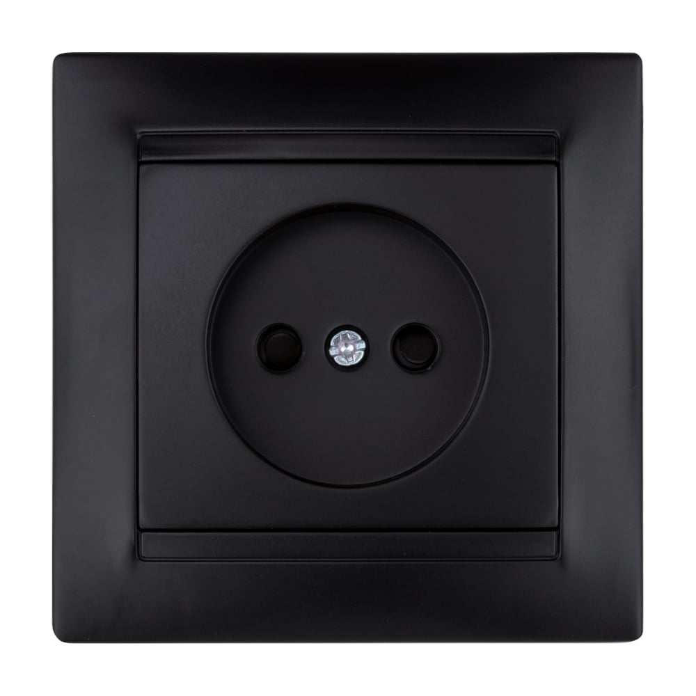 Розетка TDM ELECTRIC Лама 2П 10А 250В с защитными шторками, графит SQ1815-0610