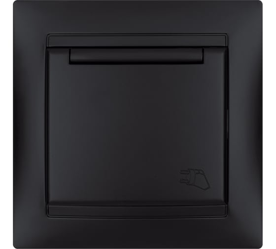 Изображение товара Розетка TDM ELECTRIC Лама 2П+З 16А 250В IP44 с защитными шторками, с крышкой, графит SQ1815-0614