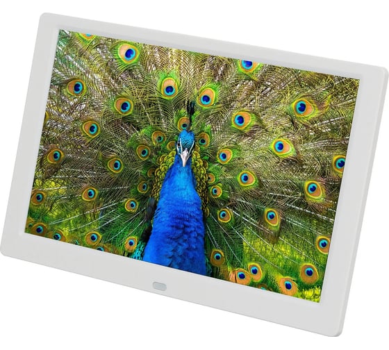 Изображение товара Фоторамка DIGMA PF-1043 10.1 IPS 1280x800, белый, пластик, ПДУ, видео 1169216
