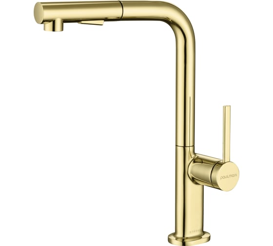 Изображение товара Смеситель для кухни Paulmark Neo, золото Ne214419-G