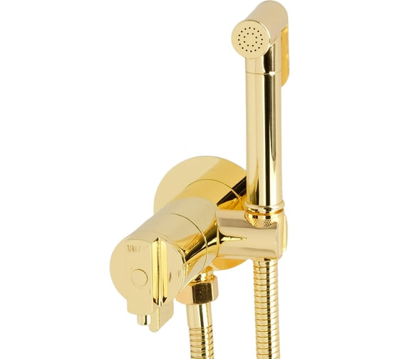 Изображение товара Гигиенический душевой набор Migliore FORTIS смеситель встраиваемый, термостат с держ./лейка/шланг латунь, золото 31558