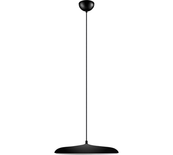 Изображение товара Подвесной светильник LOFT IT Plato 10119 Black