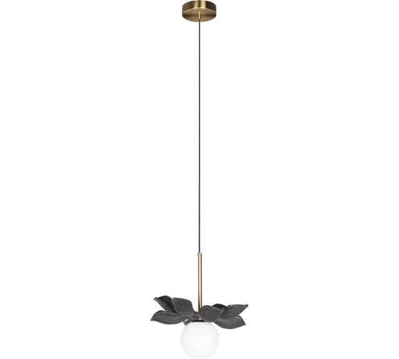 Изображение товара Подвесной светильник LOFT IT Monro 10213/B Black