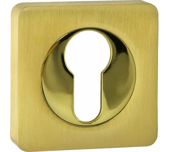 Изображение товара Квадратная накладка Ренц на цилиндр, латунь матовая / латунь блестящая INET 02 SG/GP