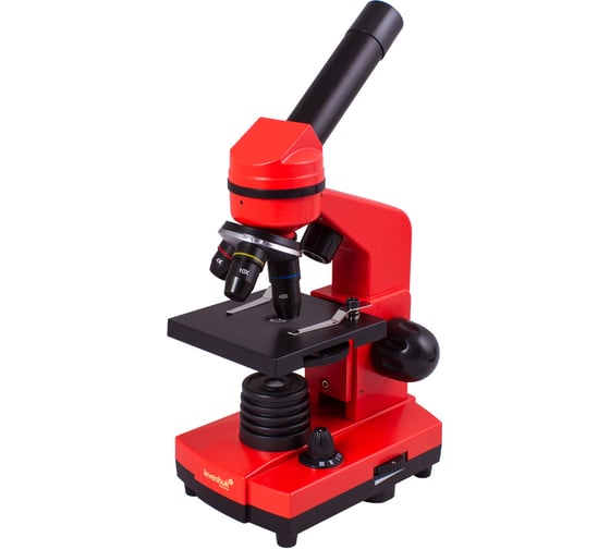 Изображение товара Микроскоп Levenhuk Rainbow 2L Orange 69039