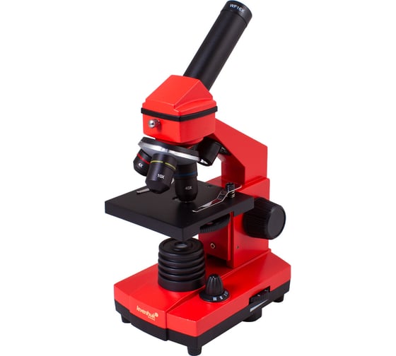 Изображение товара Микроскоп Levenhuk Rainbow 2L PLUS Orange\Апельсин 69045