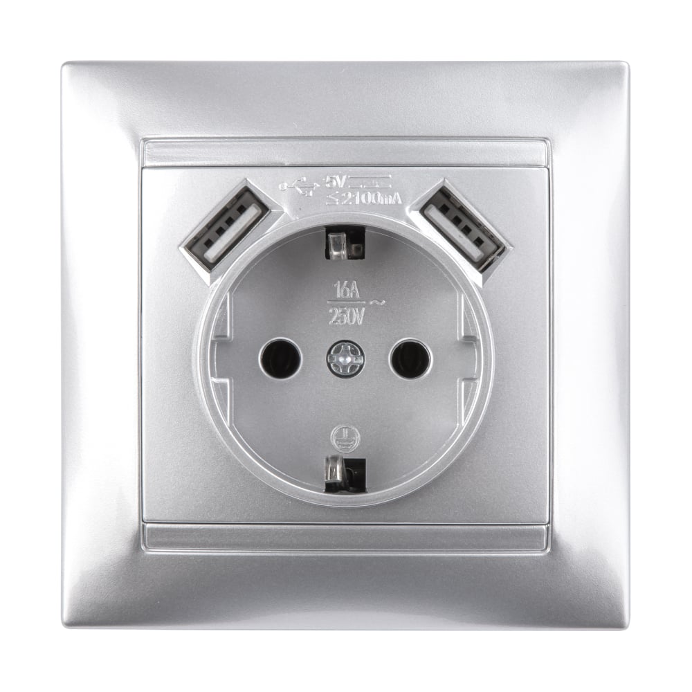 Изображение товара Розетка TDM ELECTRIC 2П+З 16А 250В с 2 USB 2.1А металлическая