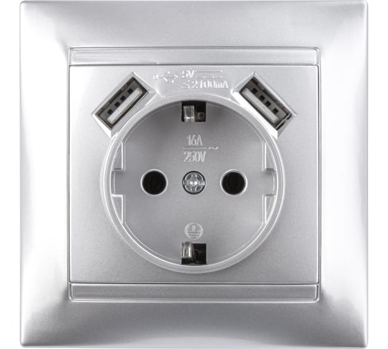 Изображение товара Розетка с USB 2 порта 2,1А 5В, с заземлением TDM ELECTRIC серебристый металлик, 2П 16А 250В серия "Лама" SQ1815-0242