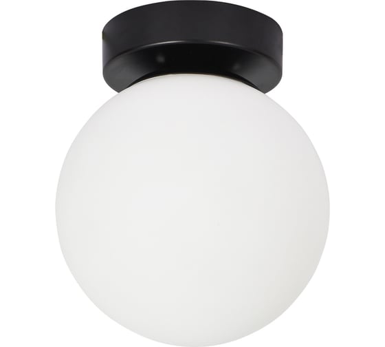 Изображение товара Настенно-потолочный светильник ARTE LAMP alcor A2224PL-1BK