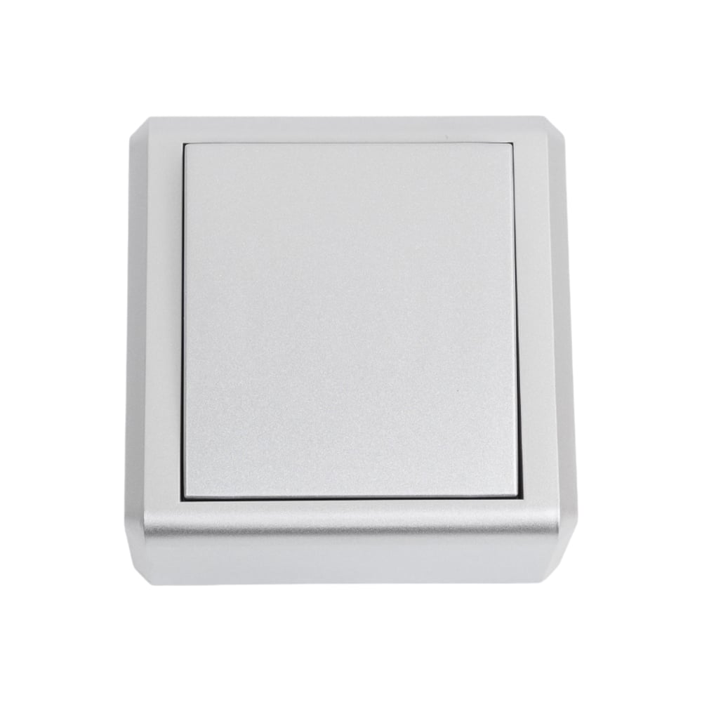 Изображение товара Выключатель Vesta Electric vesta-electric mega silver одноклавишный FVK030102SRM