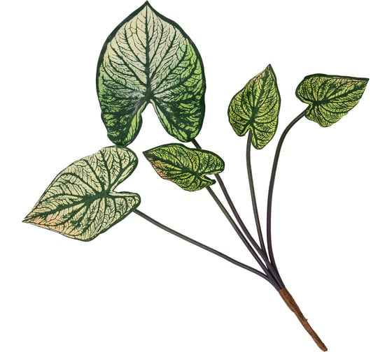 Изображение товара Антуриум HANDY HOME искусственный, высота 38 см aj-223