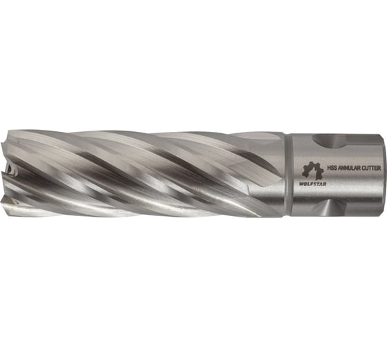 Изображение товара Сверло корончатое по металлу Р6М5/М2 17x55 мм WOLFSTAR cw00083