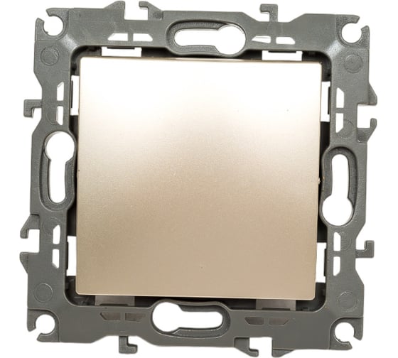 Изображение товара Переключатель ЭРА 12-1103-04 10АХ-250В, IP20, шампань Б0014642