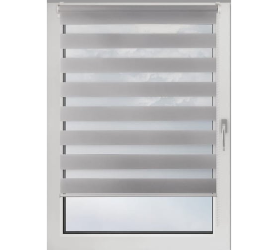 Изображение товара Рулонная штора PRAKTO DAY&NIGHT 65x160 см, серый 9403217647