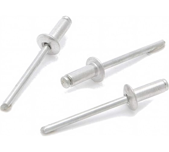 Изображение товара Заклепки вытяжные алюминиевые с широким бортиком (4х6 мм; 50 шт) Дело техники 452406