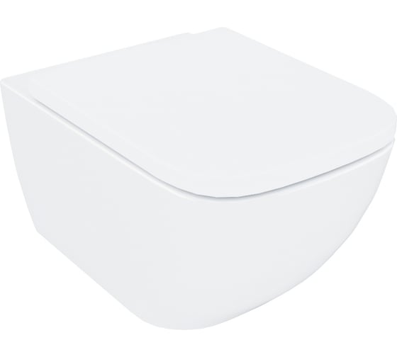 Изображение товара Подвесной безободковый унитаз IDDIS Torr TORRDSEi25