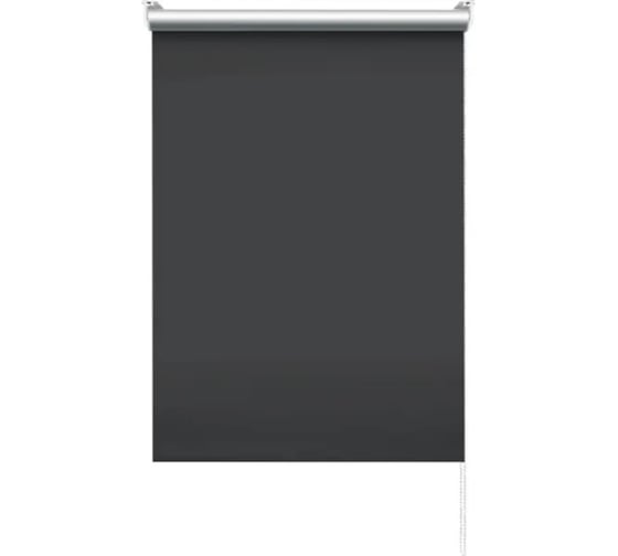 Изображение товара Рулонная штора PRAKTO BLACKOUT SILVER 60x160 см, черный 9403219792