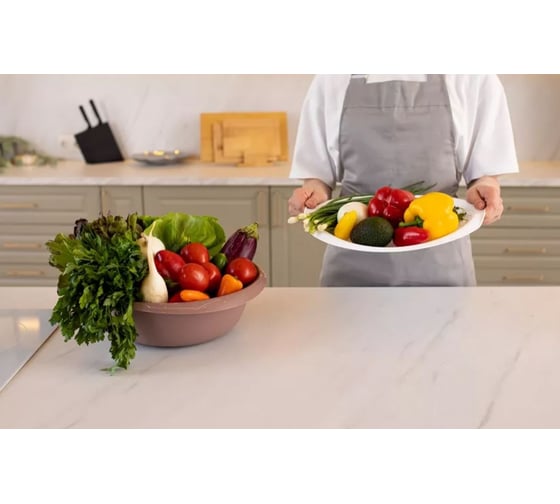 Изображение товара Полимербыт "АЛЬТЕР" МИСКА С КРЫШКОЙ-ПОДНОСОМ 6л ПОЛИМЕРБЫТ 433980100