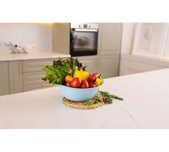 Изображение товара Полимербыт АЛЬТЕР МИСКА 3л ПОЛИМЕРБЫТ 433970000