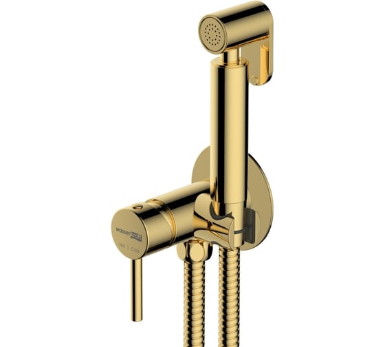 Изображение товара Встраиваемый смеситель для душа с гигиенической лейкой WasserKraft A70738