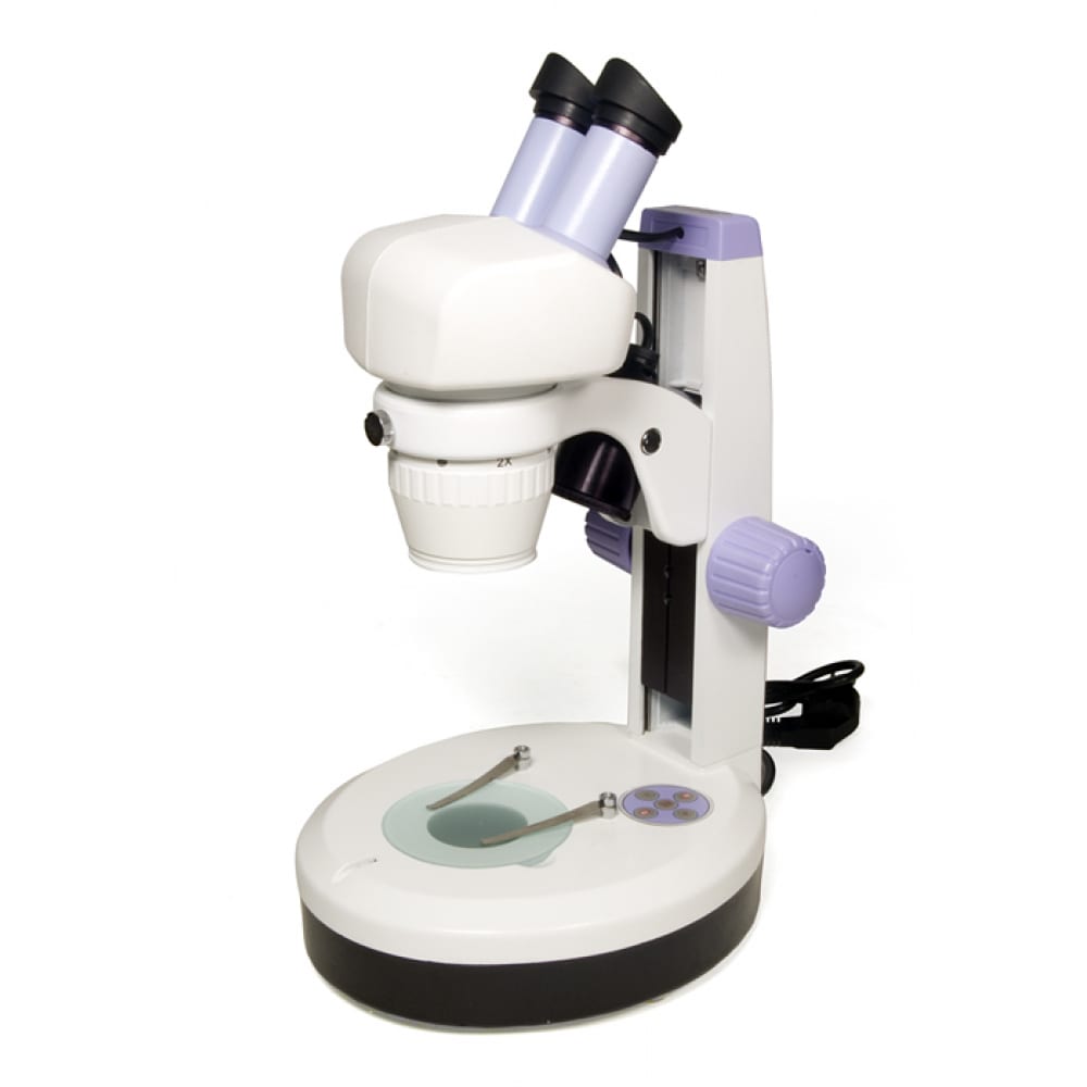 Бинокулярный микроскоп Levenhuk микроскоп школьный эврика 40х 1280х с видеоокуляром в кейсе