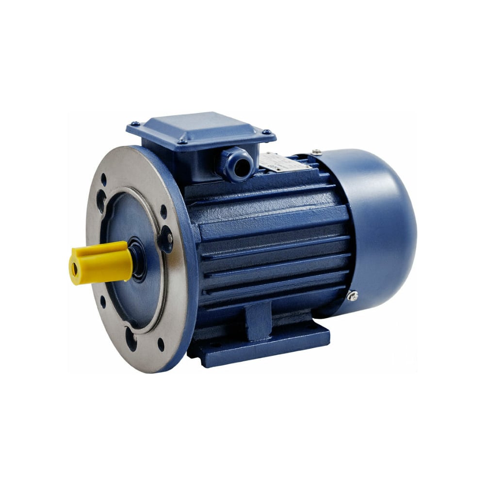 Электродвигатель ТМ БЭЗ