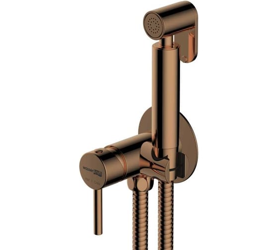 Изображение товара Встраиваемый смеситель для душа с гигиенической лейкой WasserKRAFT A70938